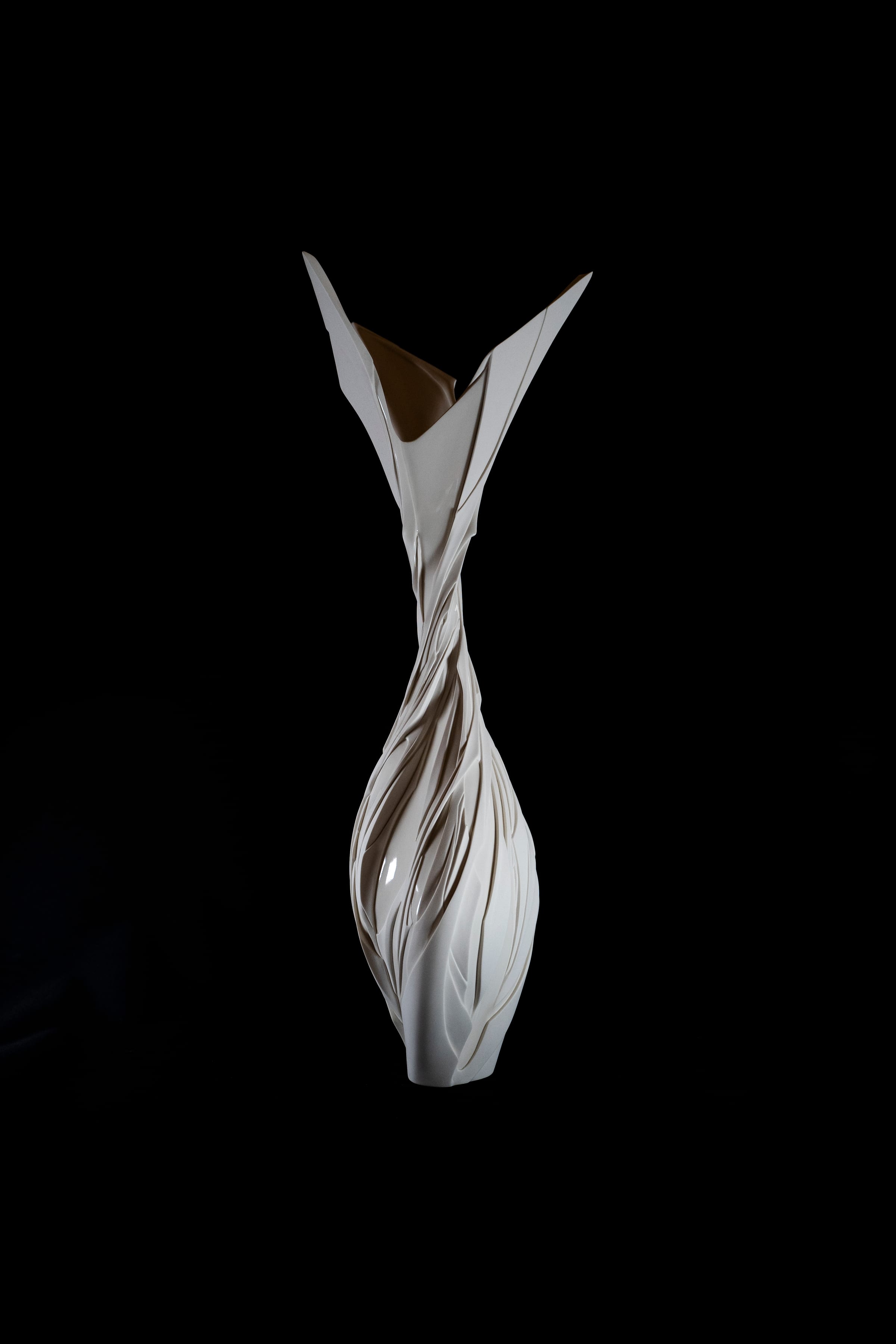 Phantasmic Qualia FB